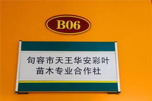 喜訊！華東森林產品電商城入選首批江蘇省鄉(xiāng)鎮(zhèn)電子商務特色產業(yè)園區(qū)